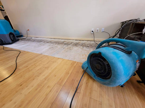 Professional Water Damage Repair technician working in Steeleville, IL